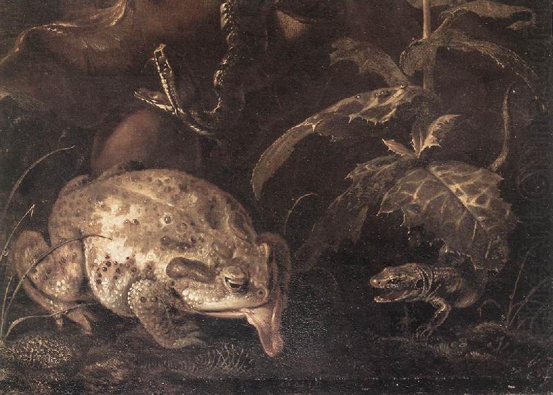 SCHRIECK, Otto Marseus van Still-Life with Insects and Amphibians (detail) qr china oil painting image